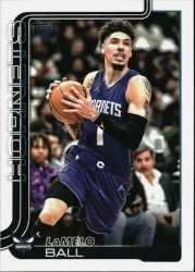 Charlotte Hornets Team Set